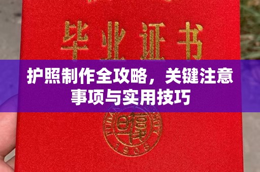 岗巴护照制作全攻略，关键注意事项与实用技巧